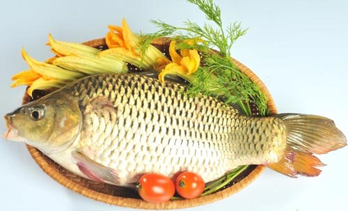 Thịt cá chép giàu dinh dưỡng nên tốt cho sức khỏe của mẹ và bé