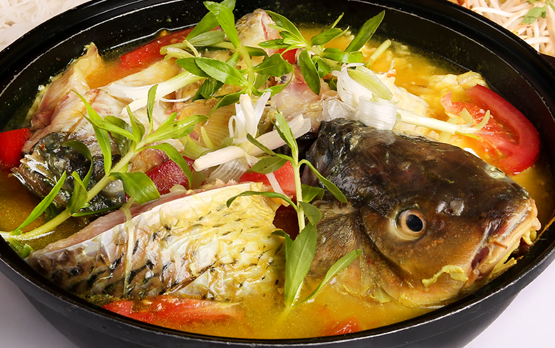 Chọn mua cá chép VietGap là cách nấu lẩu cá chép ngon nhất mà ít nhà hàng làm được