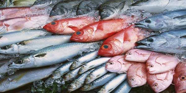 Cá biển nhiễm độc là những loại cá gây nguy hại cho sức khỏe