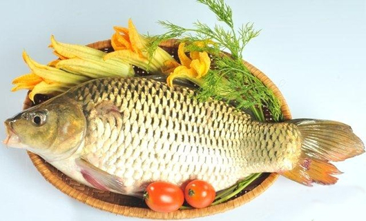 Cá chép sông Đà của Cường Thịnh FISH luôn đảm bảo tươi sạch, thịt thơm ngọt, săn chắc
