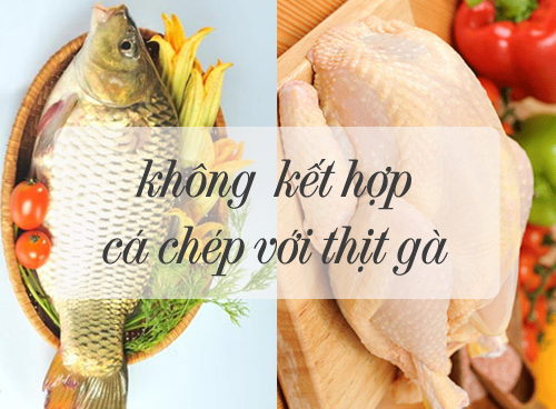 Image result for Thá»t gÃ  vÃ  cÃ¡ chÃ©p