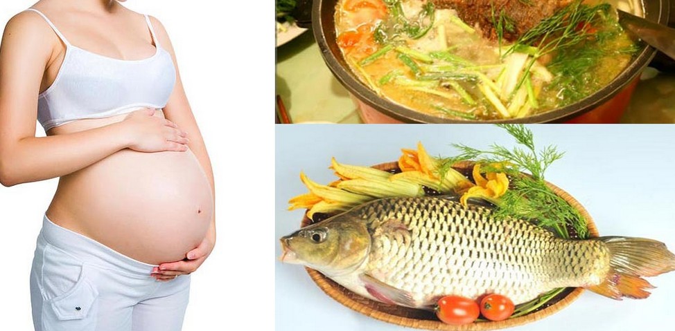 Những bài thuốc chữa bệnh từ cá chép rất tốt cho phụ nữ có thai và trẻ nhỏ