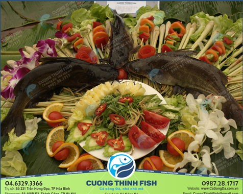 Cá ngạnh sông Đà của Cường Thịnh FISH luôn tươi, sạch, chất lượng đảm bảo an toàn