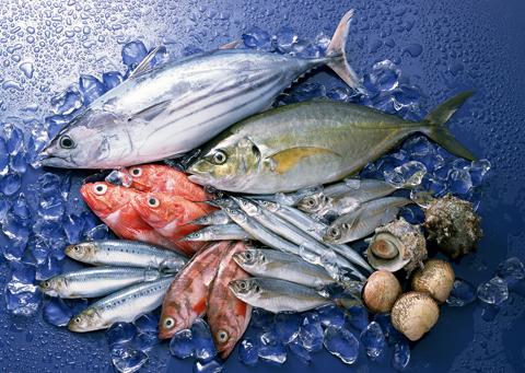 Các loại cá biển đều dễ gây dị ứng mặc dù giá trị dinh dưỡng và giá thành cao