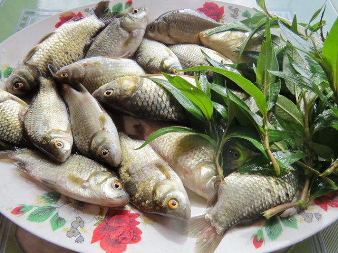 Những món ăn từ cá diếc giúp tăng cường sinh lực phái mạnh
