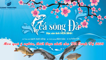 Cá sông Đà - Cường Thịnh Fish - Món quà ý nghĩa, thiết thực cho ngày Tết